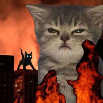 サニラ by Real Rx | BandLab