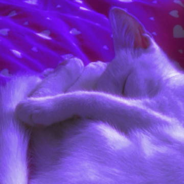 Ruby - Dreams by Rubyyyyy | BandLab