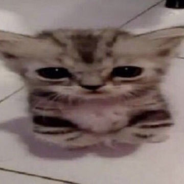 BEST FREE SIGILKORE PRESET!ðð by $ L A Y E R | BandLab