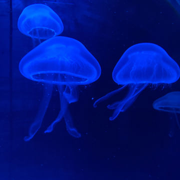 Yebba's Heartbreak (cover) by olivia | BandLab