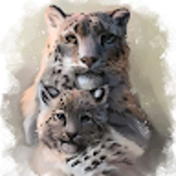 Kim Rolfe (@kimrolfe) • BandLab - Make Music Online