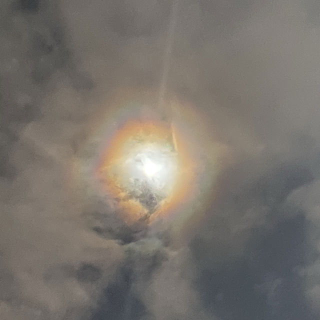 She Said Polo G X Juice Wrld X Gunna Type Beat By Jtheone Bka Emurk Bandlab