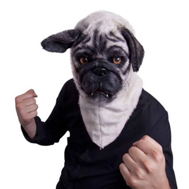 парень в костюме собаки. живет в костюме собаки. живет в костюме собаки. Iron dog. латексный костюм собаки.