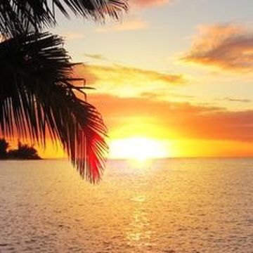 czsm_camila_soto (@czsm_camila_soto) • BandLab - Make Music Online