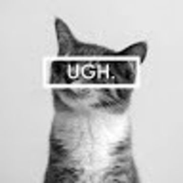 Dread Z Ann Rose Z Bandlab bandlab