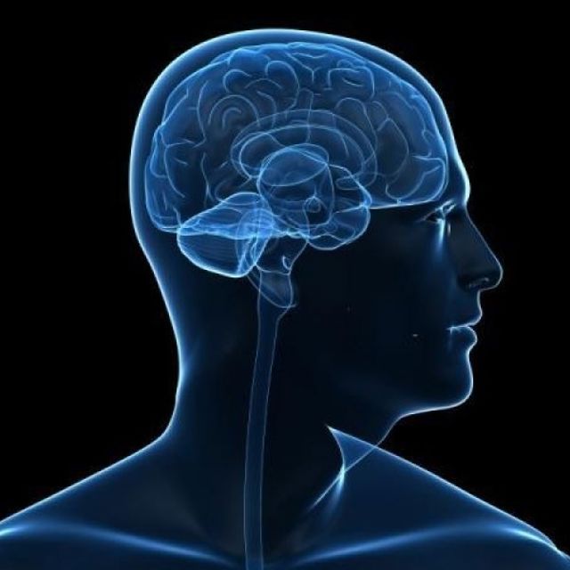 Brain 12. Мозг мужчины. Глаза здоровье мозг. Brain age. Brain May.